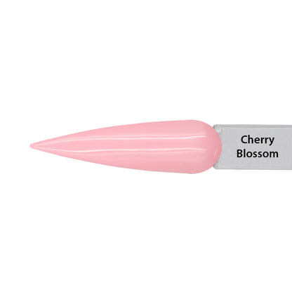 Premium Gel Polish Collection - Valentine's